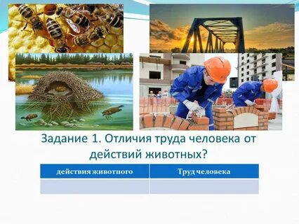 Труд человека труд животных