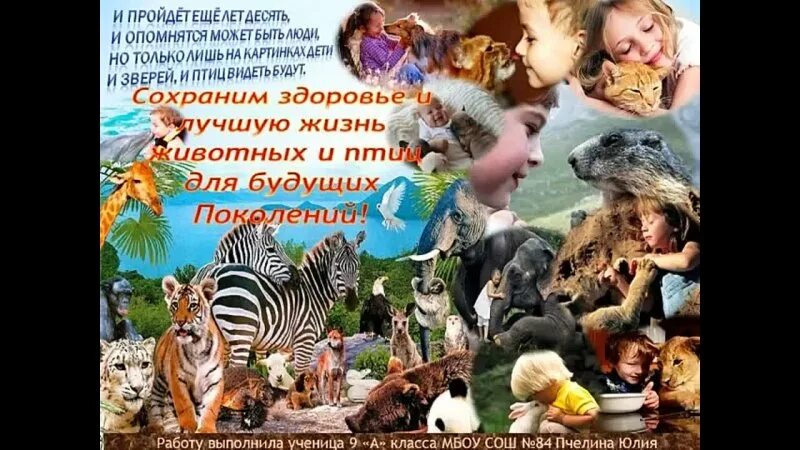 Пост про день защиты животных. Пост про день защиты животных