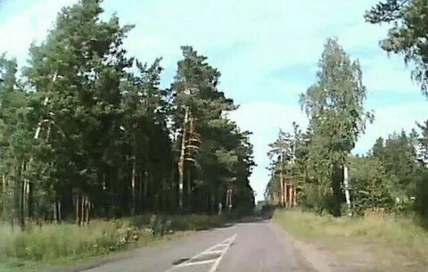 Погода лесниково курганской