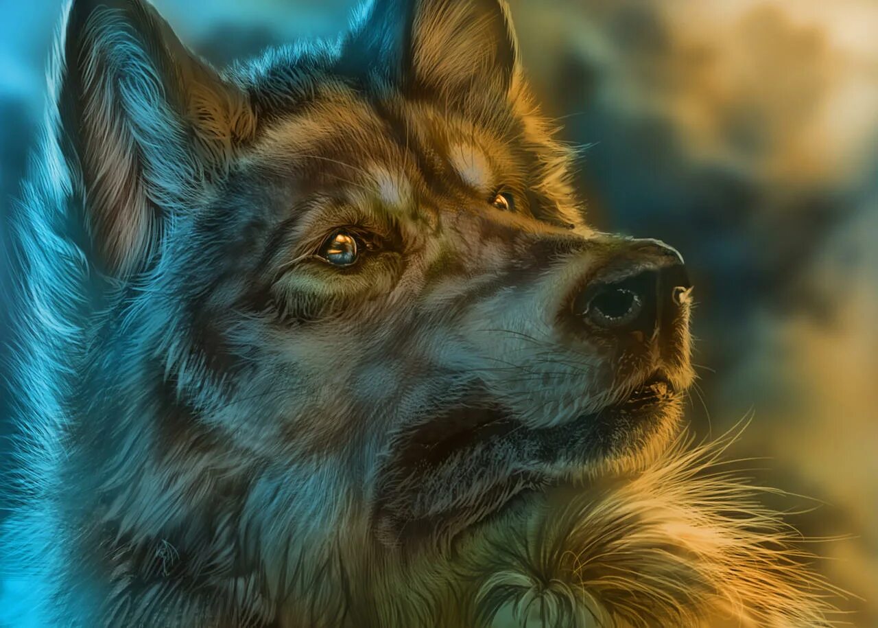 умный волк. волчий паблик. мудрый волк. мудрость волка. белый волк мудрый волк.