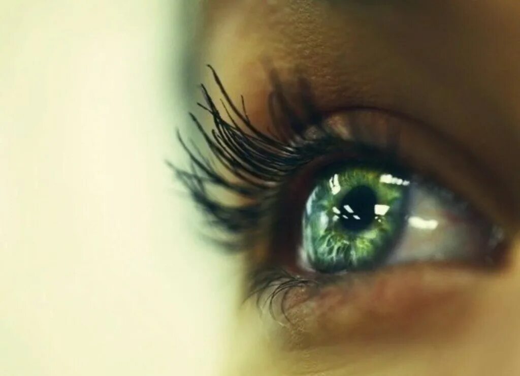 Красивые глаза. Красивые зеленые глаза. Красивые женские глаза. Красивые глазки.