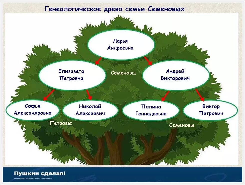 Готовый проект для 2 класса. Родословная дерево семьи 2 класс окружающий мир. Окруж мир 2 класс родословная. Моя родословная дерево 2 класс окружающий мир проект. Проект на тему моя родословная 2 класс по окружающему миру.