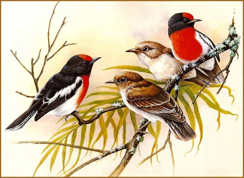 3 й и птица. Птицы художника Eric Shepherd.