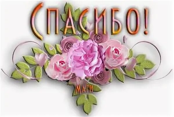 Спасибо первый