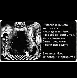 Никогда ничего не проси цитаты