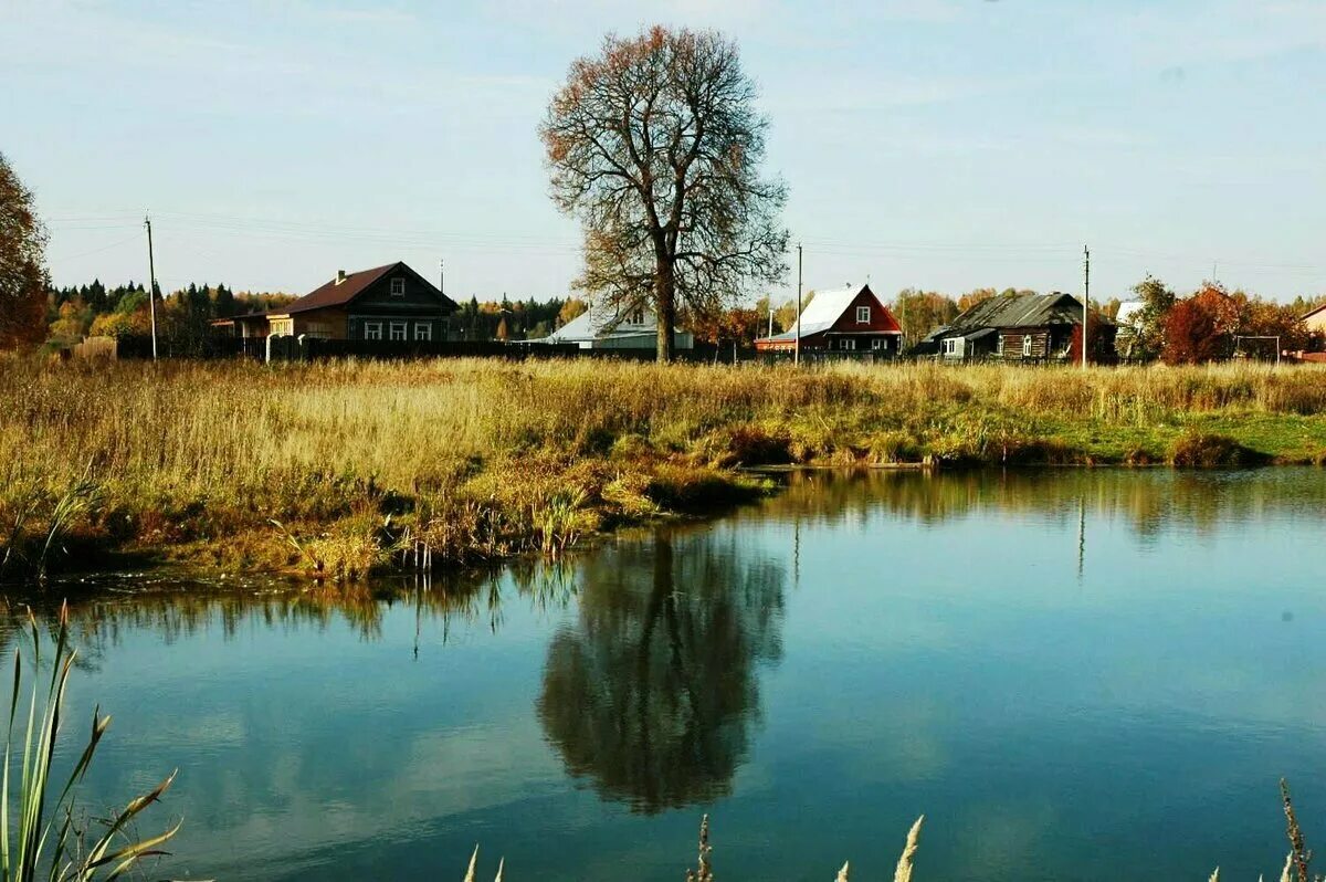 Деревня деревенька. Деревня с рекой город Ульяновск. Деревня у реки. Пейзаж деревни. Деревенька моя старая до земли поклонюсь