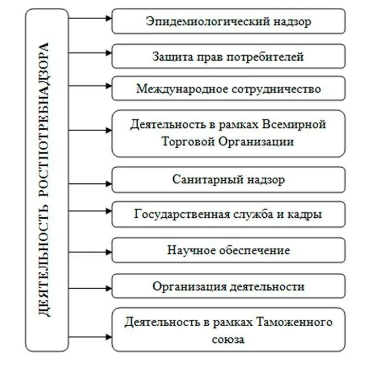 Роспотребнадзор структура виды деятельности задачи функции. Основные функции Роспотребнадзора кратко. Основные виды деятельности Роспотребнадзора. Виды деятельности Роспотребнадзора схема.