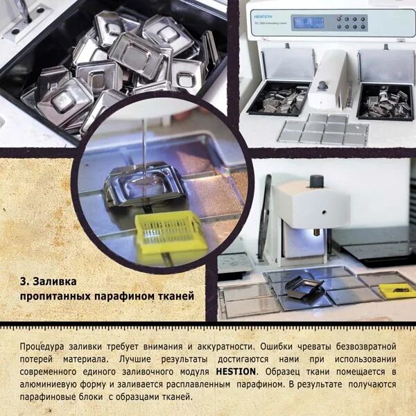 парафиновый блок гистология. заливка в парафин гистологического материала. заливка материала в парафин гистология. парафиновый блок гистология. уплотнение материала гистология.