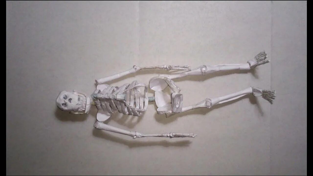 Скелет из пластилина. Бумажная модель скелета человека\. Скелет человека модель из бумаги. Скелет человека из пластилина. Оригами скелет.