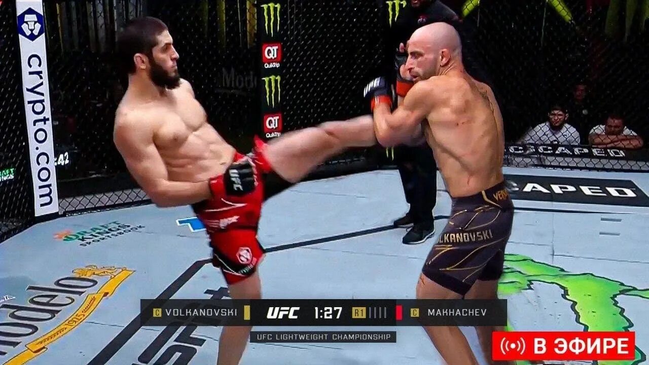 Ufc efir