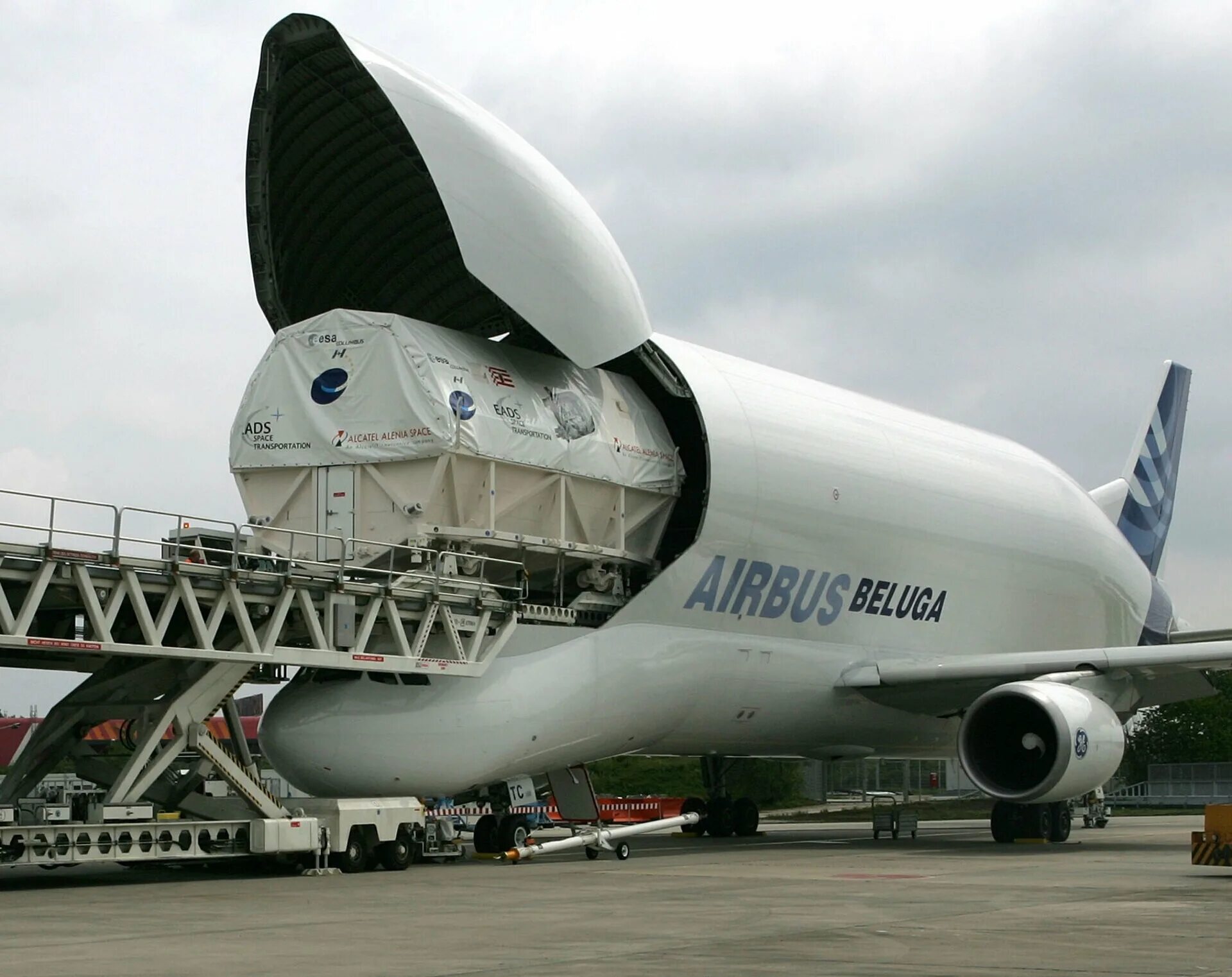 C 300 600. Airbus Beluga грузовые самолёты. Аэробус a300-600st Beluga. Грузовой самолет Airbus a300-600st Beluga. Грузовой самолет Airbus Beluga XL.