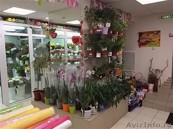 Что продается в цветочном магазине