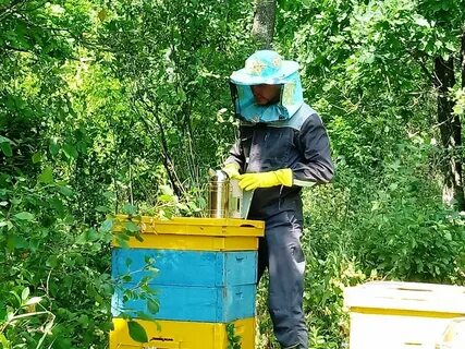 Пчеловод инфо