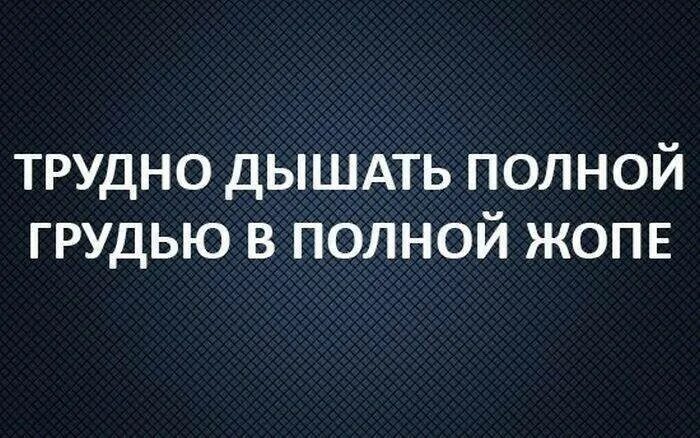 Хрен положенный на мнение окружающих. Ежик научился дышать попой сел на пенек и задохнулся. Хрен положенный. Анекдот Ежик научился дышать попой сел на пенек и задохнулся. Ежик научился дышать попой