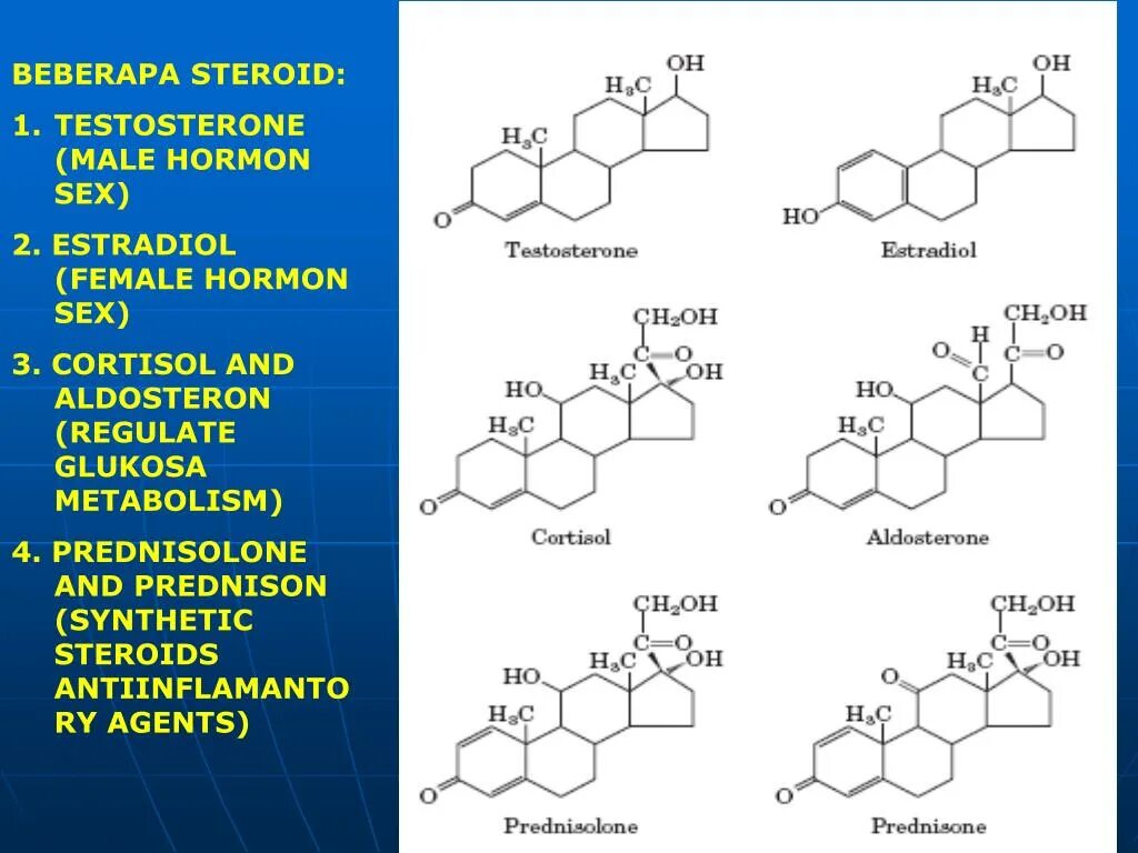 Тестостерон отпускаю. Эстрадиол химическая природа. Преднизон и преднизолон формула. Ароматизация тестостерона в эстрадиол. Преднизон формула.