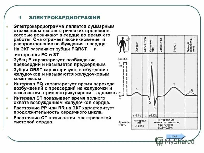 Метод кардиограммы. Экг нормальная физиология. экг расшифровка физиология. структурный анализ нормальной экг во ii стандартном отведении. методика экг исследования.