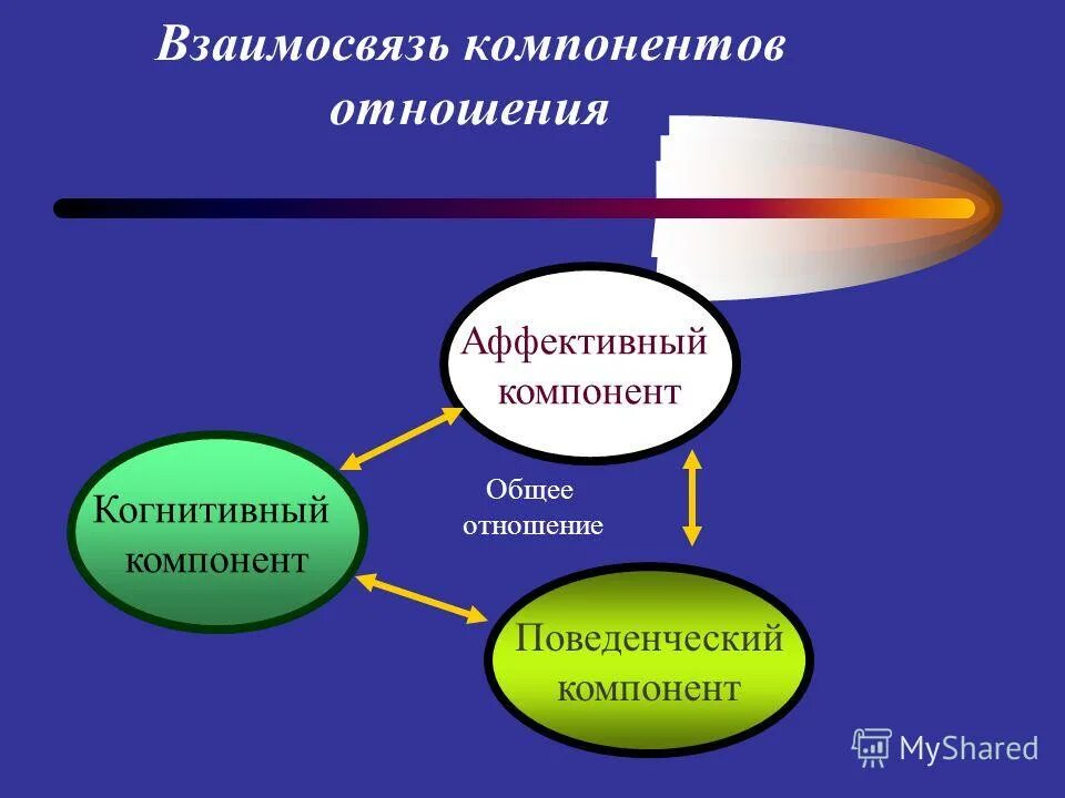 Компоненты развития отношений. Компоненты отношений. когнитивный компонент отношения. когнитивный и аффективный компоненты.