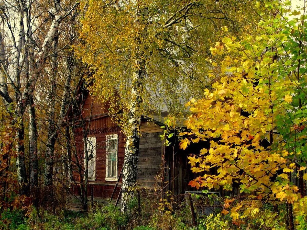 Палисад рябина деревня. Осень в деревне. Деревня осенью. Деревенский домик осенью.