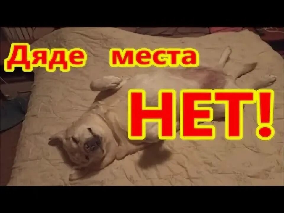 Уходи дядя. Михалков дядя степа светофор. Девочка и незнакомец. Письмо от матроскина и шарика. Стал дядей.