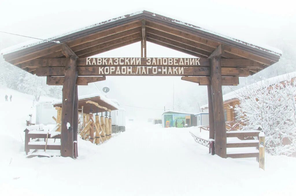 Лаго-наки в адыгее. Кордон лагонаки. Кавказский заповедник лаго наки. Кавказский заповедник кордон лагонаки. Гузерипль смотровая площадка.