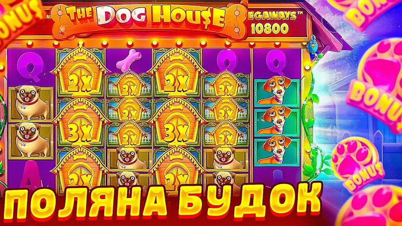 Слот dog house megaways демо. Дог Хаус занос. Занос в the Dog House. Дог Хаус слот казино. Дог Хаус Мегавейс.