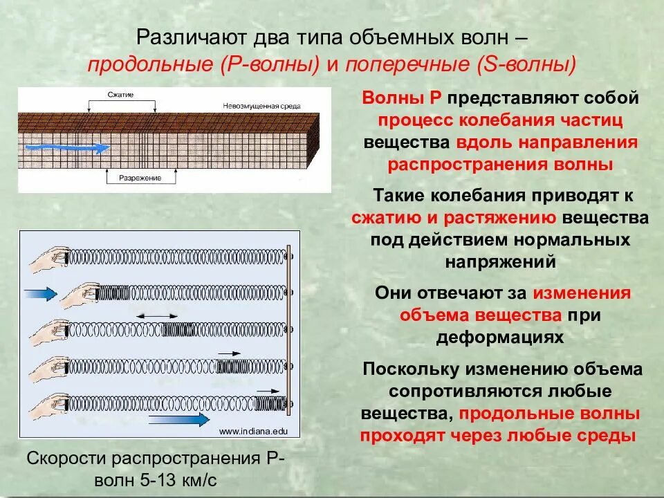 Типы волн продольные и поперечные. Продольные и поперечные сейсмические волны. Продольные и поперечные волны. Поперечные и продольные волны физика таблица. Что такое продольная волна