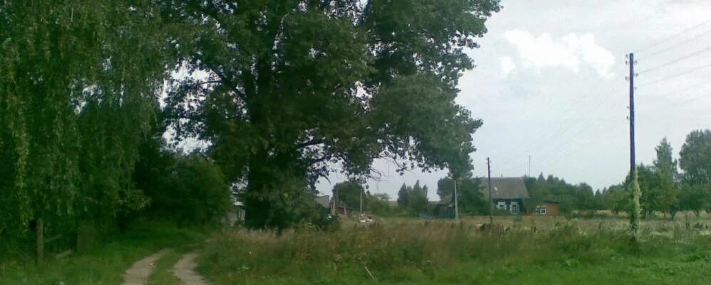 Деревня буда гомельская область. Гомельская область деревня буда. гомельская область д городок. городок (буда-кошелёвский район). шарибовка.