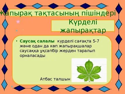 Жалпақ кеуделі короздардың фотосуреттері