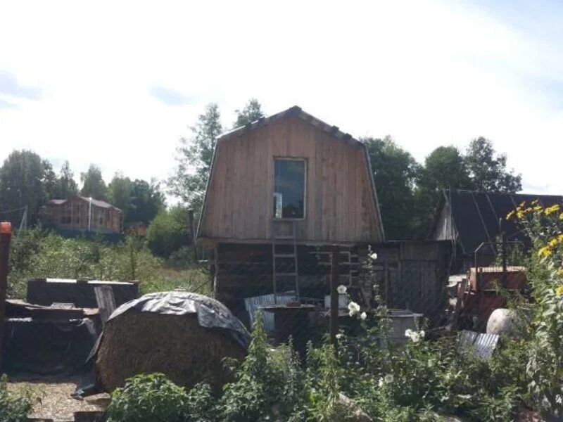 Село страхово заокский район. Страхово Заокский район. Страхово Тульская область. Страхово Борский район. Деревня страхово в Заокском.