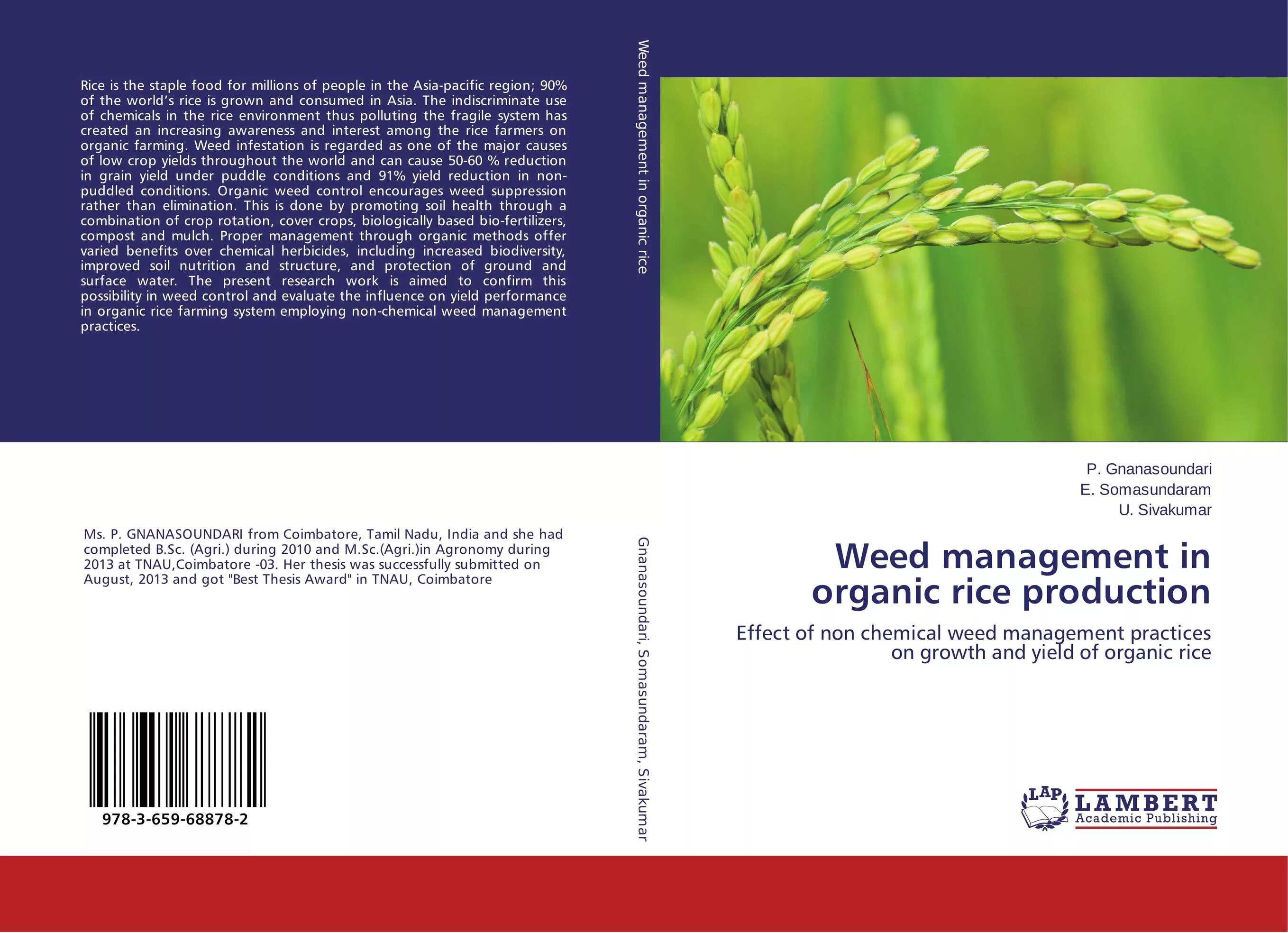 Rice in Yields. Upland Rice growing. Upland Rice перевод. Management Organic. Produce effect