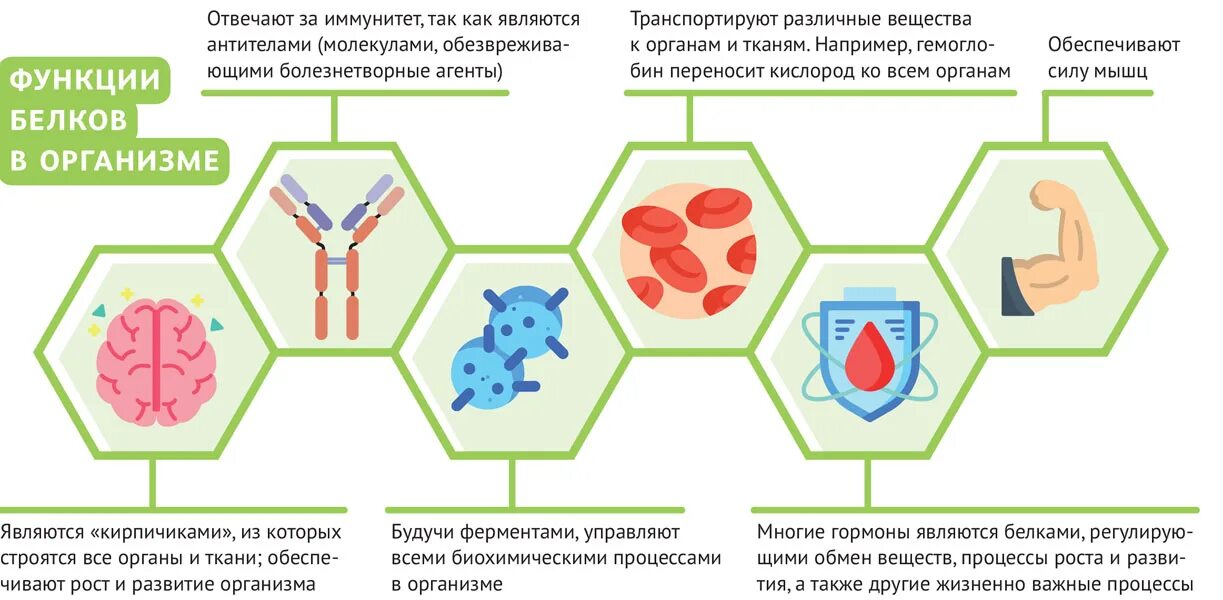 Белковая болезнь. Дефицит белка симптомы. Дефицит белка в организме симптомы. Недостаток белков в организме. Недостаток белков симптомы.