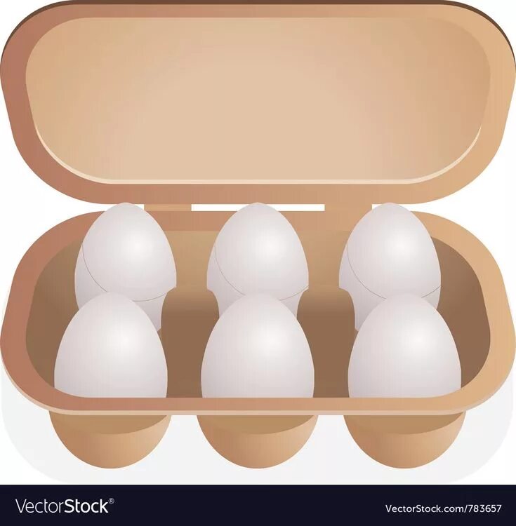 Eggs are there in the box