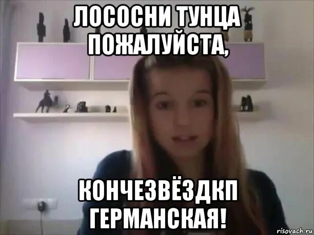 Это не тунец мем с котом Основной альбом Фотография 29 из 43 ВКонтакте