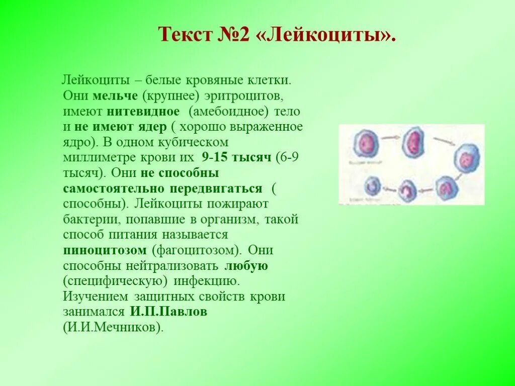 Эритроциты способны к амебоидному движению