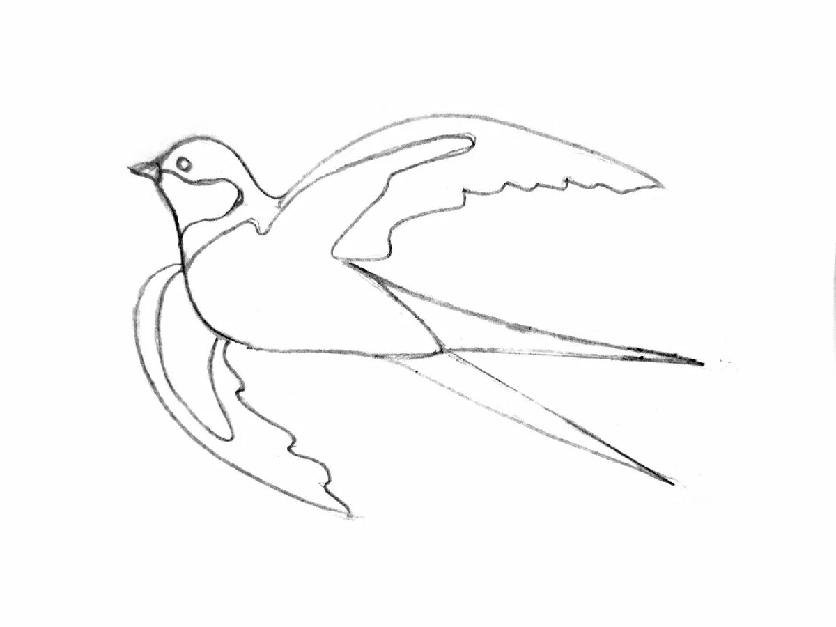 Как нарисовать ласточку для детей. Ласточка рисунок для детей карандашом срисовать. Нарисовать перелетную птицу ласточку. Рисование перелетные птицы Ласточка. Ласточка рисунок для детей.