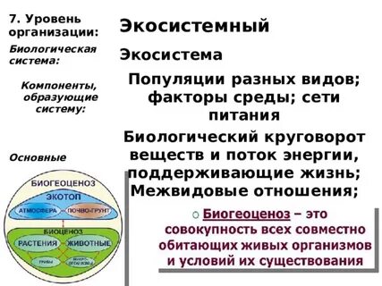 Компоненты образующие систему