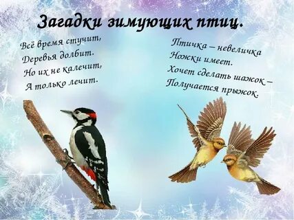 Загадки про птиц 4 5 лет