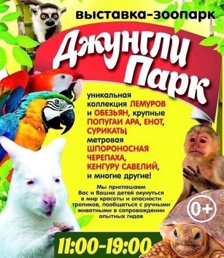Выставка зоопарк животных. Джунгли парк выставка. выставка зоопарк. контактный зоопарк зоовыставка. экспозиции зоопарка.