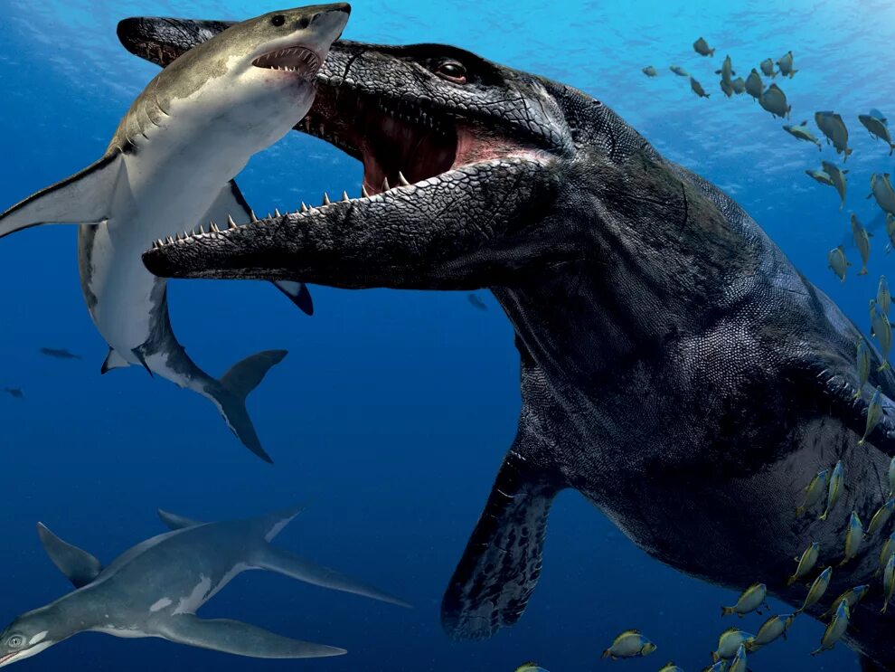 Мозазавр и МЕГАЛОДОН. Акула Мозазавр. Доисторическая акула Мозазавр. Подводные динозавры МЕГАЛОДОН.