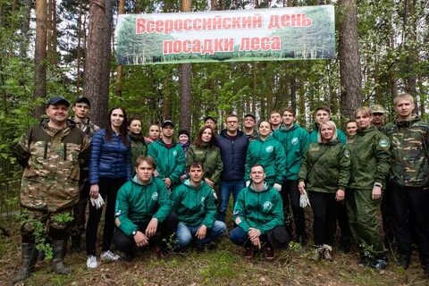 Погода зеленый город
