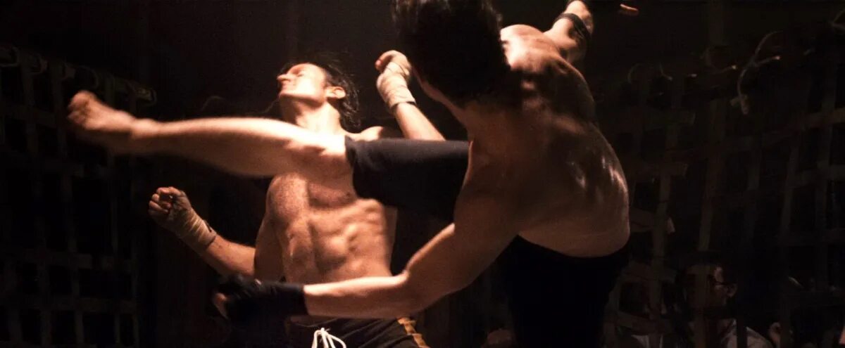 настоящий бойцовский