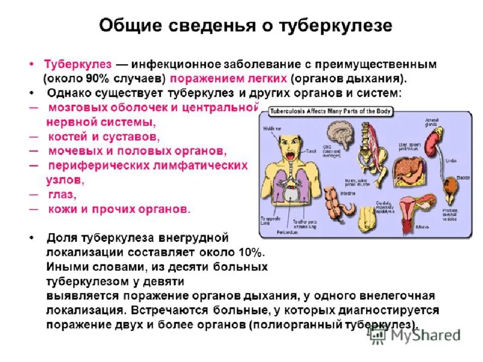 Заразные заболевания легких. Общие сведения о туберкулезе. Туберкулез презентация. Туберкулёз это что такое кратко и понятно.