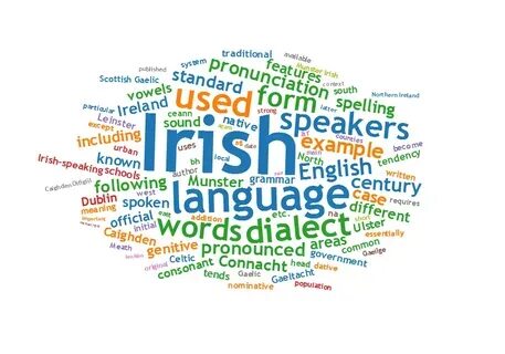 The official languages of ireland are