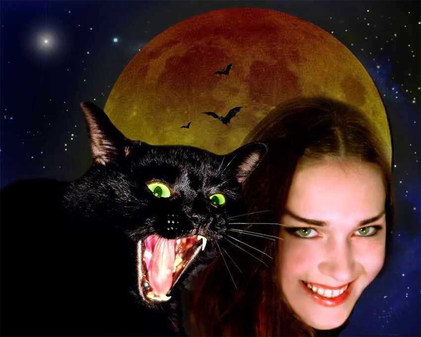 про ведьму и кота. ведьма с кошкой. про ведьму и кота. ведьмочка на метле. ведьма с котом.