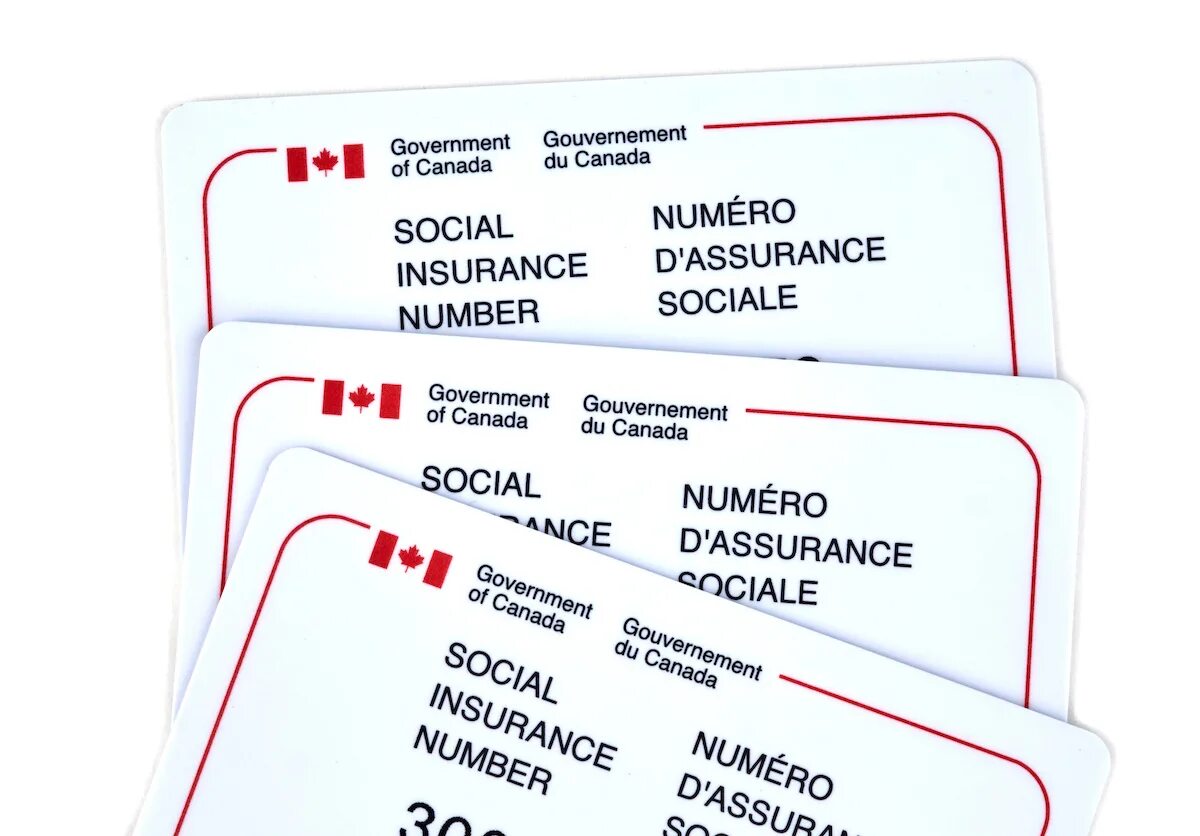 Receive number. Social insurance number canada. номер социального страхования в канаде. social insurance number, sin. белая карта страхование.