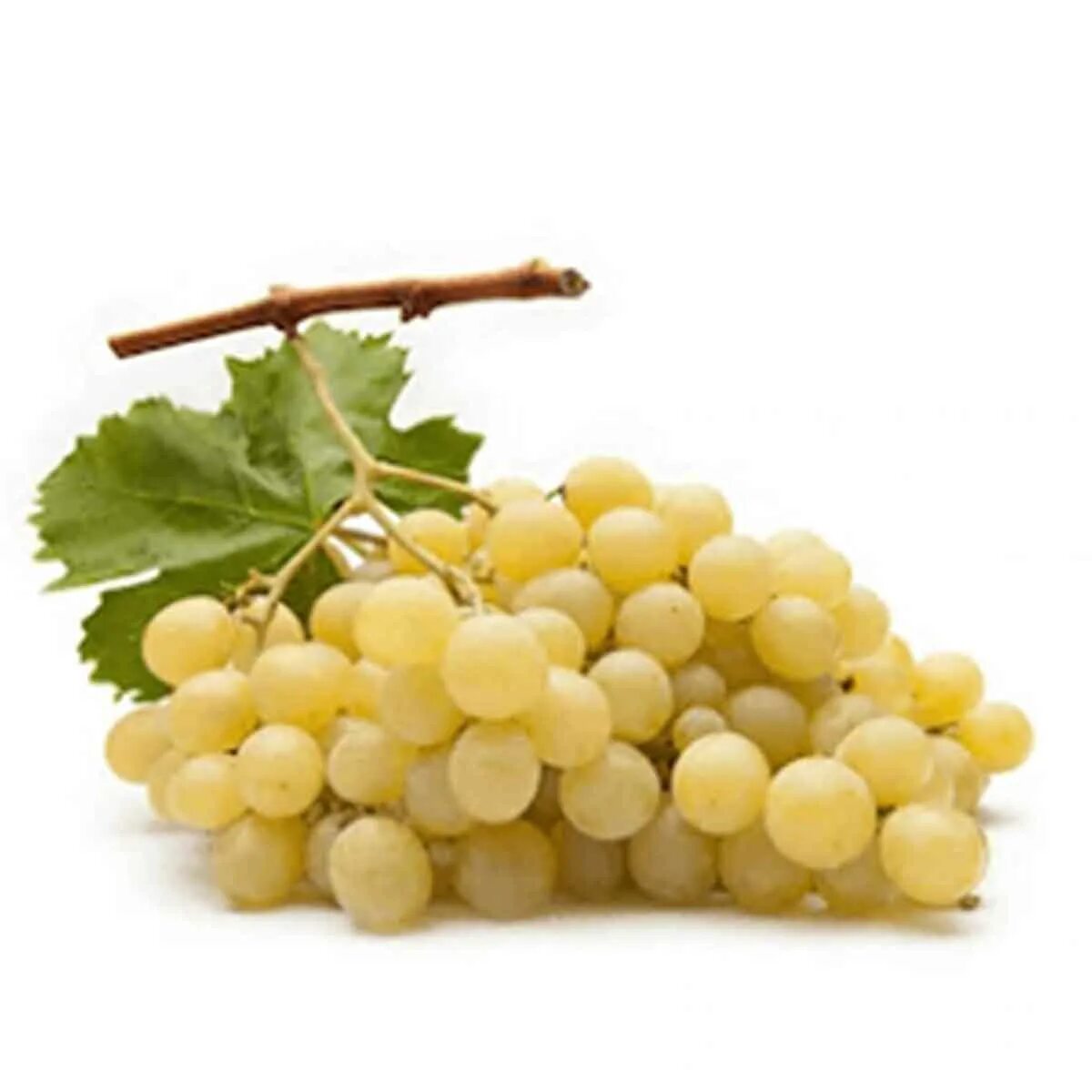 White grape