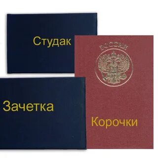 Студак