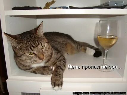 День нету