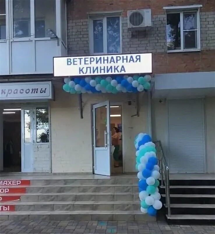 Ветклиники краснодар. Ветеринарная краснодар. Достоевского 105. Краснодар ставропольская улица 268 счастливая морда. Достоевского 105.