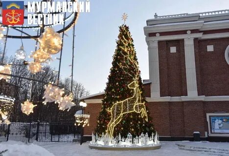 Ели мурманск
